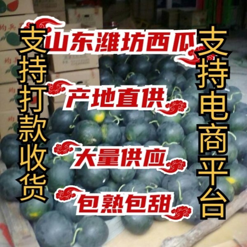 墨童西瓜大基地有规模保熟保甜支持打款收货山东西瓜