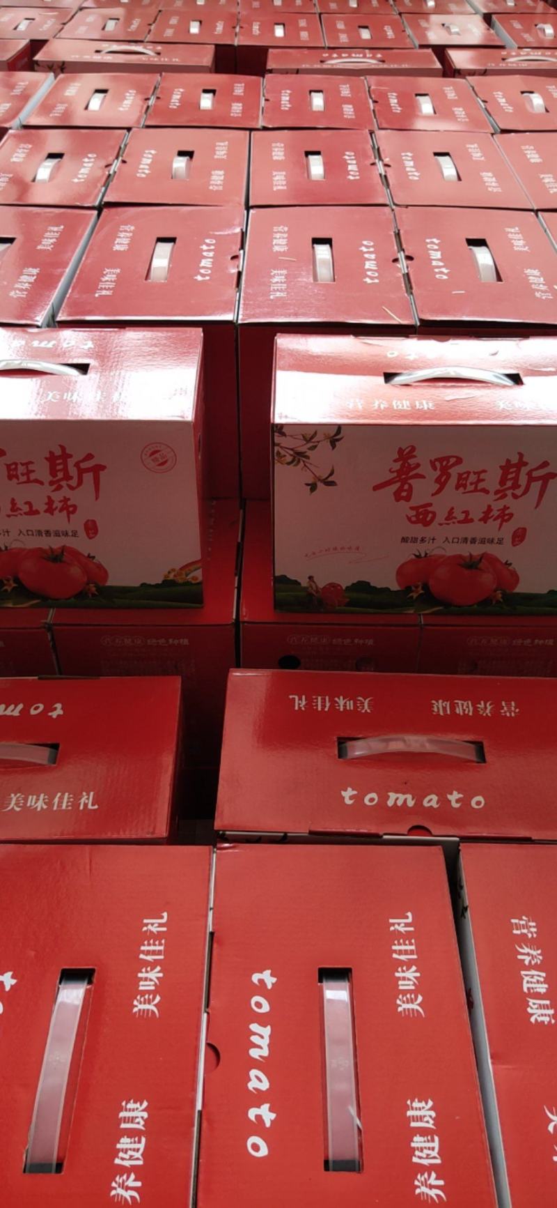 【高碑店新发地-乐航商贸】精品普罗旺斯水果西红柿