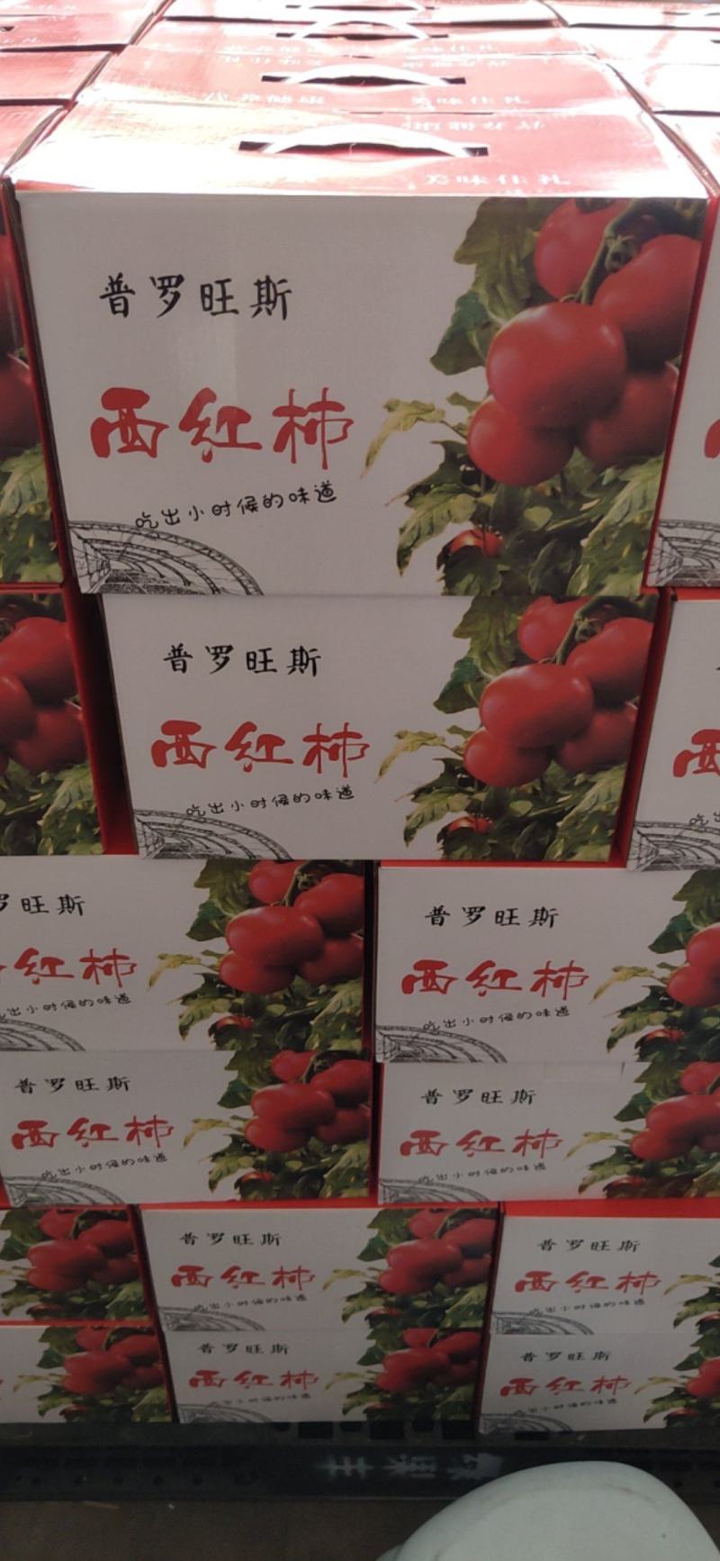 【高碑店新发地-乐航商贸】精品普罗旺斯水果西红柿