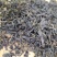 黑茶六堡茶