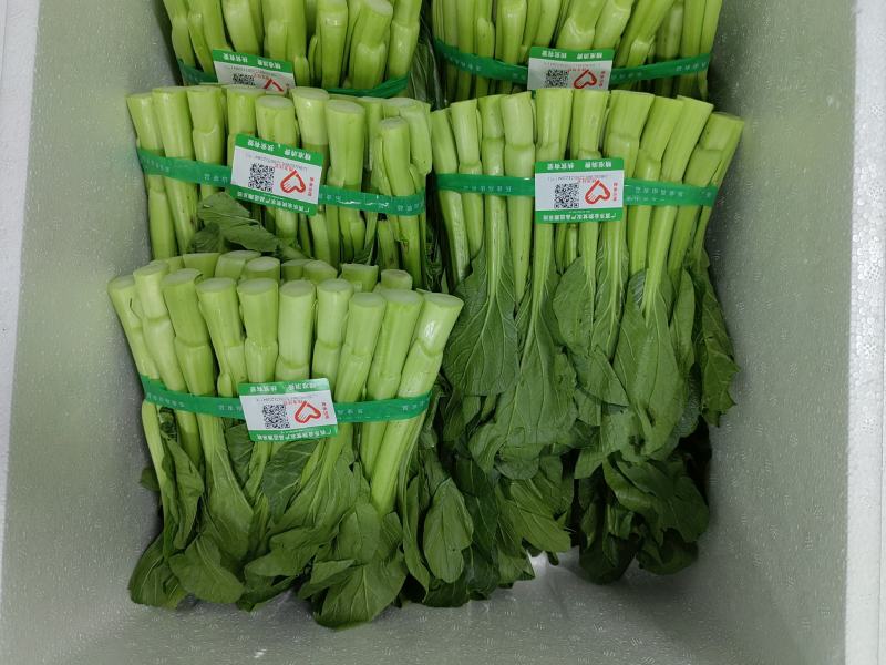 菜心