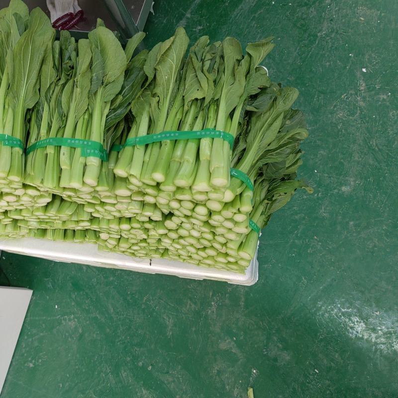 菜心