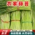 邳州大蒜之乡红帽蒜薹