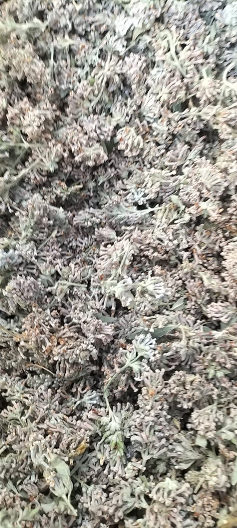 密蒙花野生密蒙花无硫正品