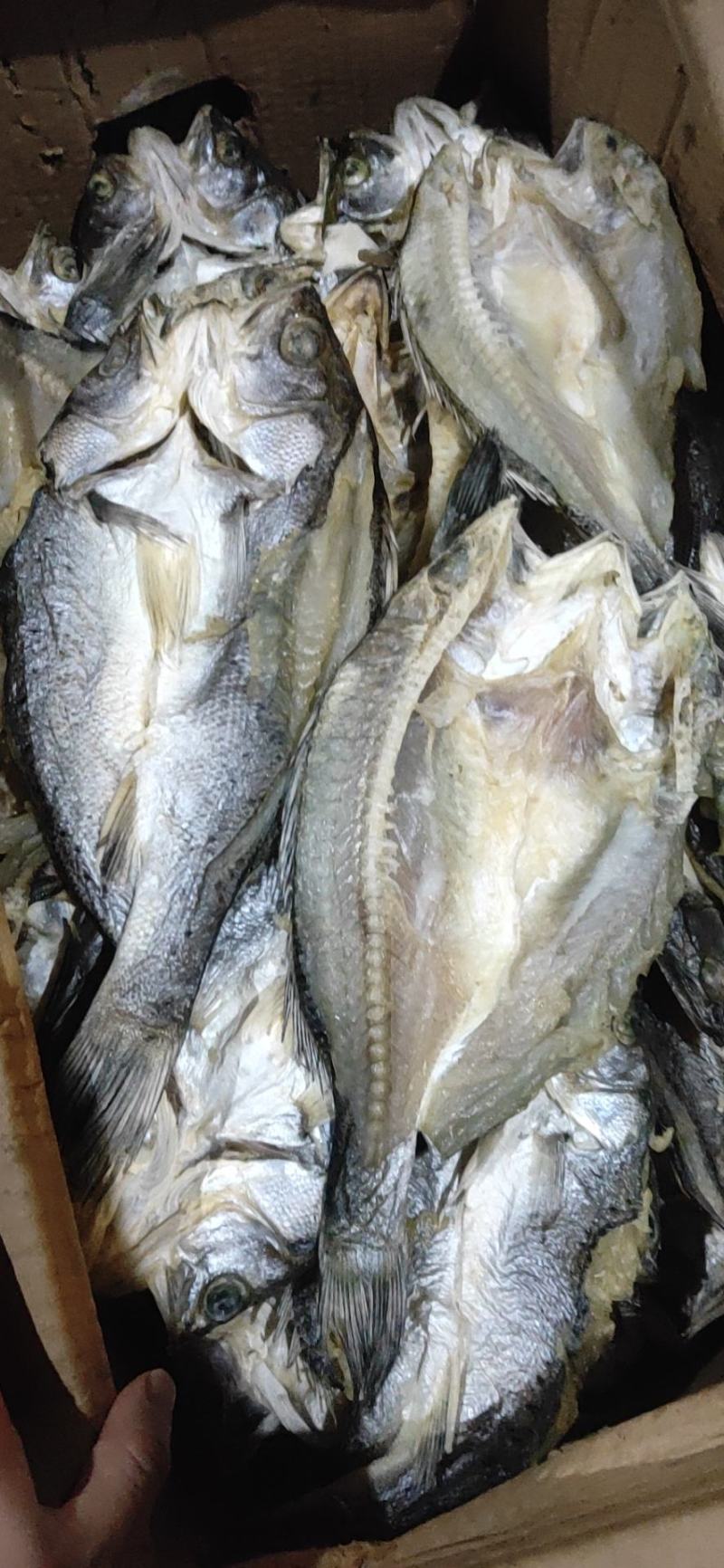 开背鲈鱼干清理干净，肉多刺少赚回头客的产品
