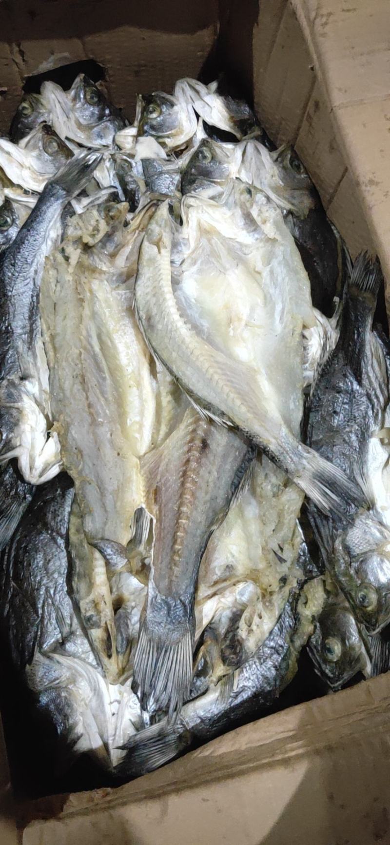 开背鲈鱼干清理干净，肉多刺少赚回头客的产品