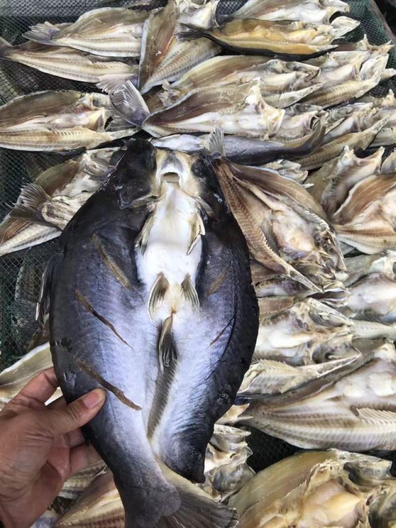 开背鲈鱼干清理干净，肉多刺少赚回头客的产品