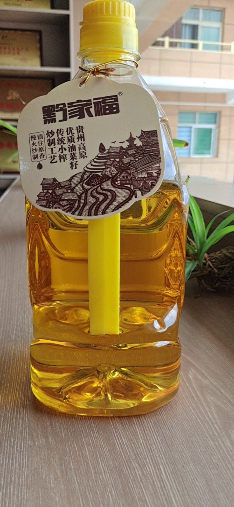 贵州四方粮油高源山茶油，纯物理压榨，有机食品批发全国发货