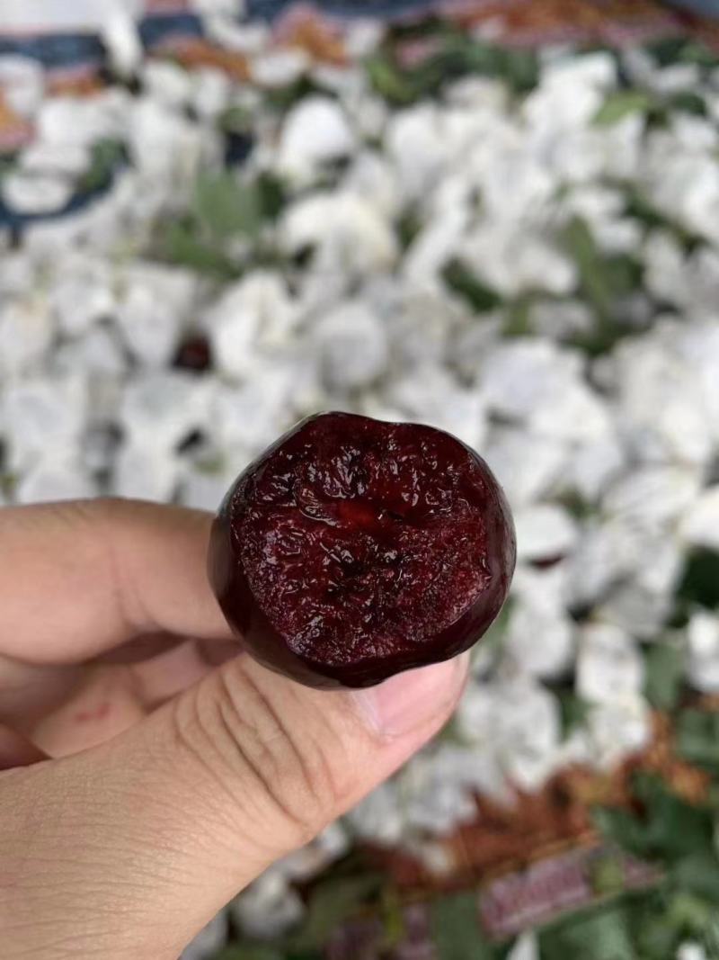 套袋车厘子大樱桃黑珍珠，欢迎各大平台商超批发老板来电洽谈