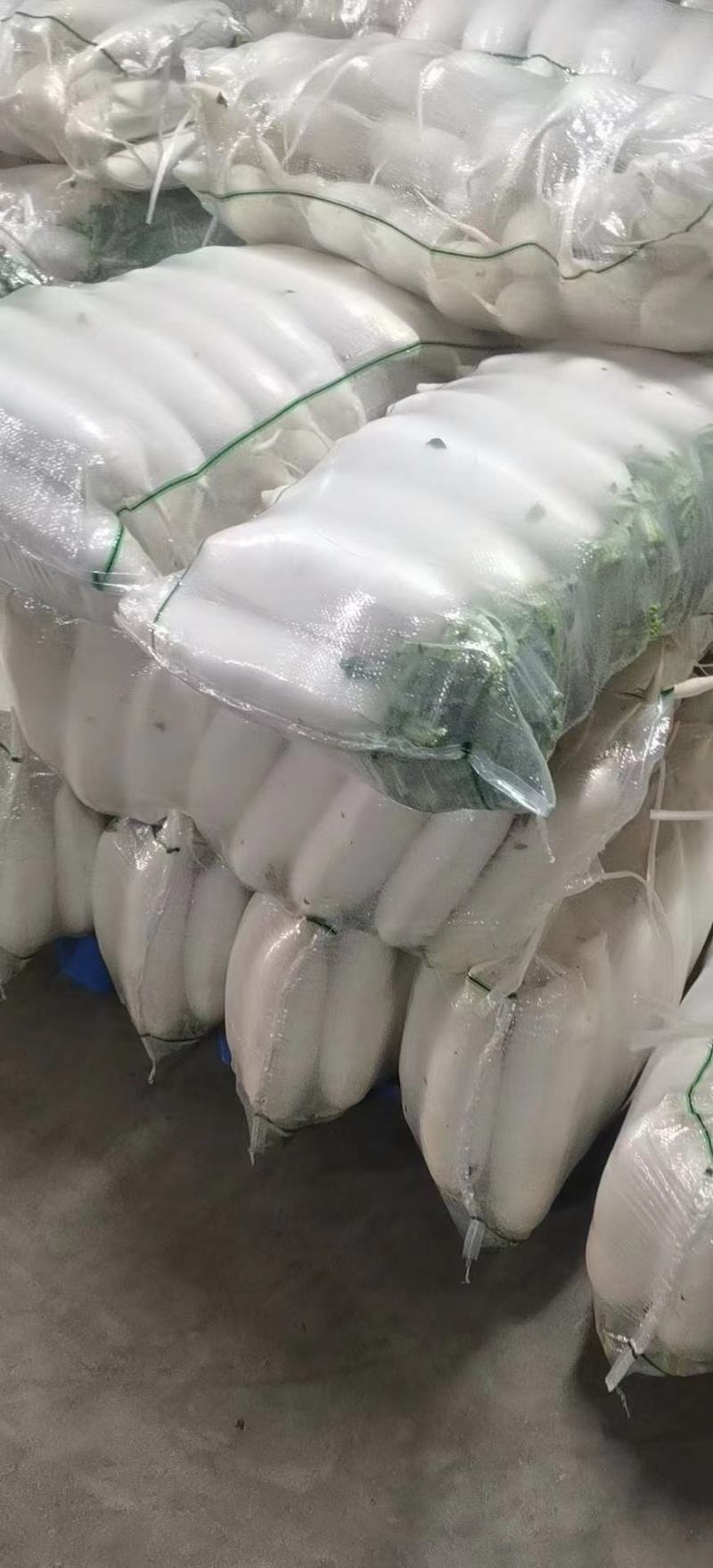 精品白萝卜，基地货源，货源充足，支持视频看货线上交易
