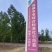 【热销】威县十万亩夏黑葡萄，产地直销，品质保证，欢迎选购