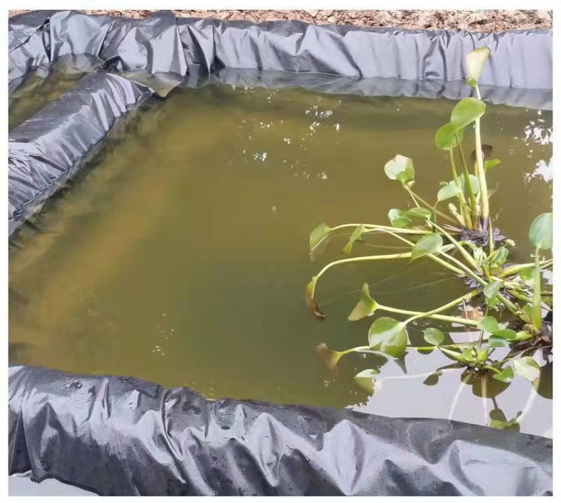 鱼塘防渗膜沼气池土工膜土工膜厂家