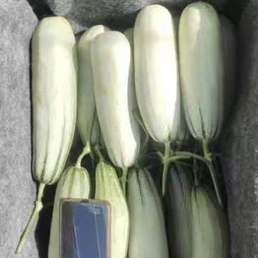 博洋61量大，装货快