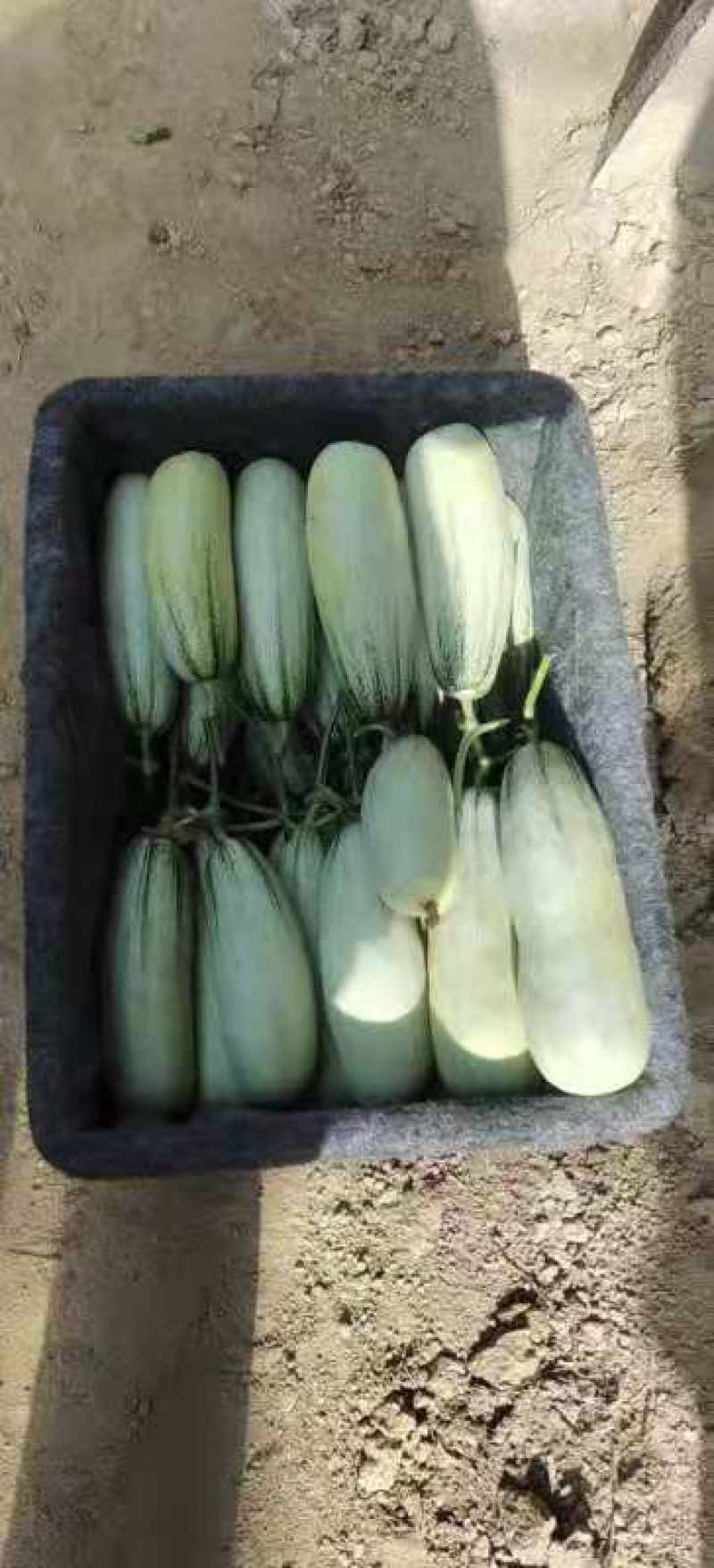 博洋61量大，装货快