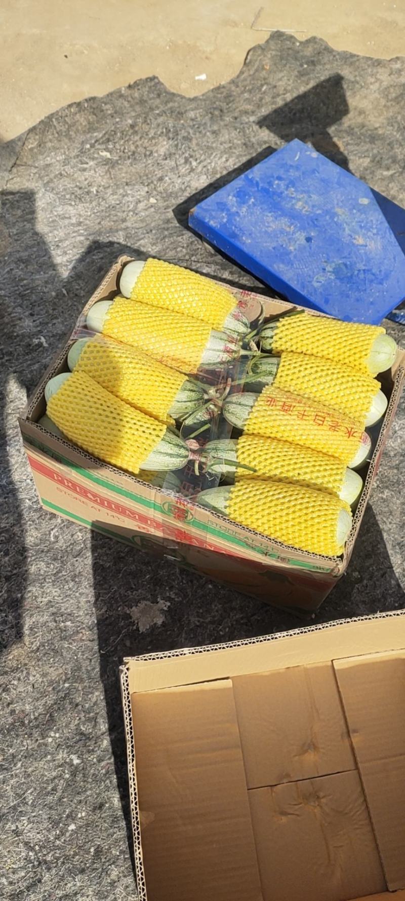 博洋61量大，装货快