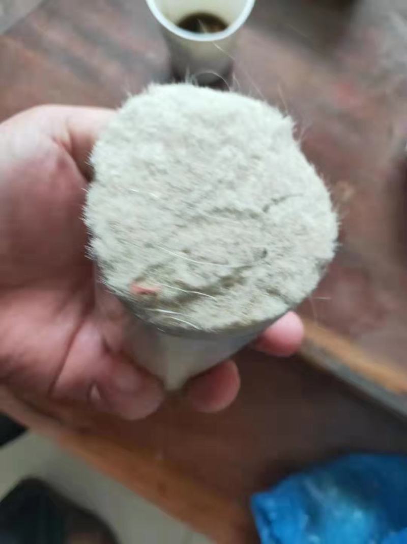 双齐山羊毛，笔料。现货