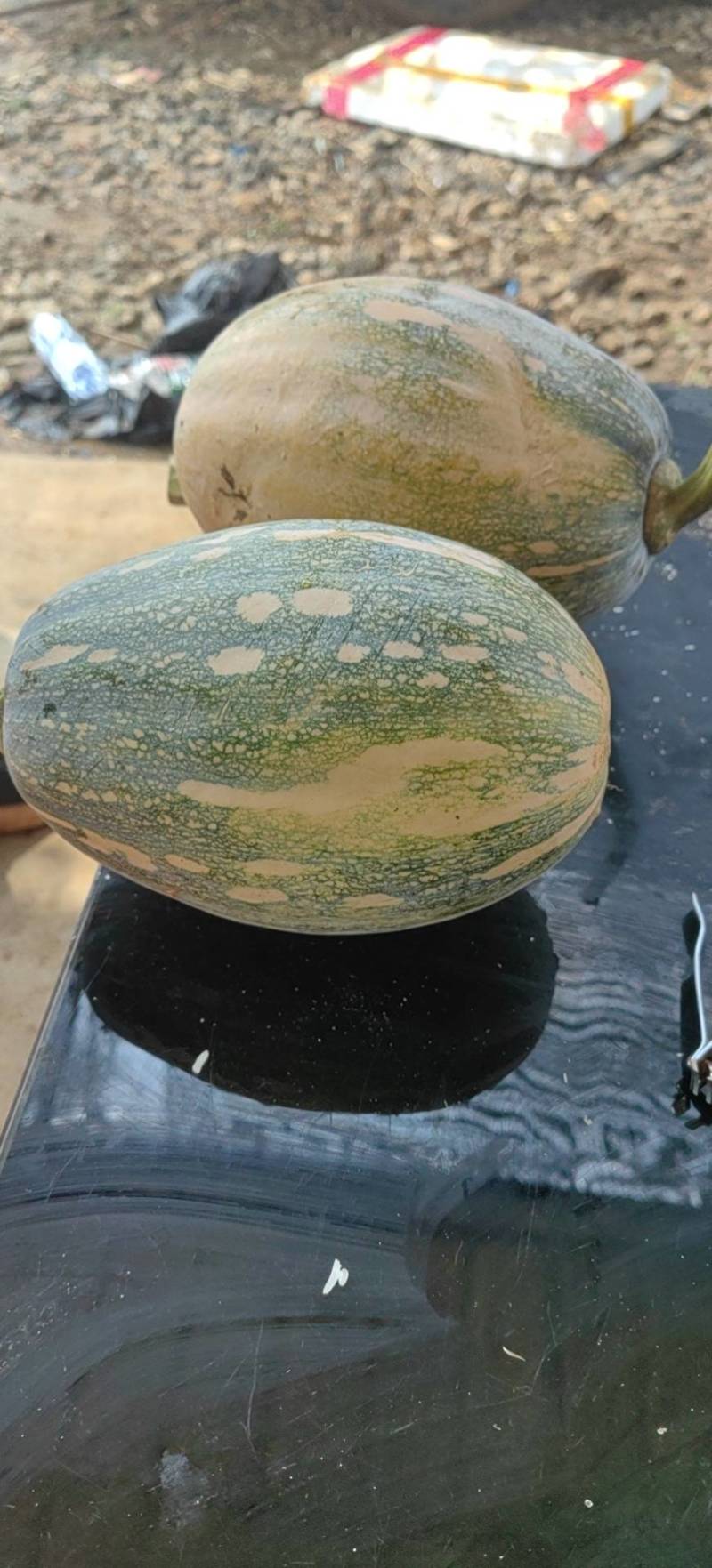 坡地QQ南瓜大量出货，质量保障，量大电议迅价