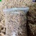 梅干菜笋干菜嫩高品质浙江批发源头