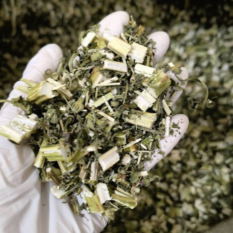 益母草精选货常年有货源实物拍摄物美价廉百信药业