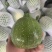 新鲜蔬菜——地兰