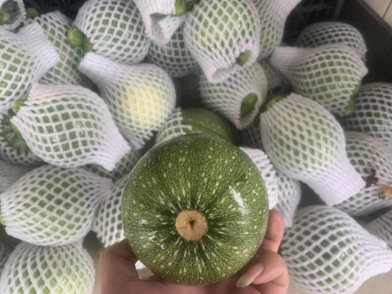 新鲜蔬菜——地兰