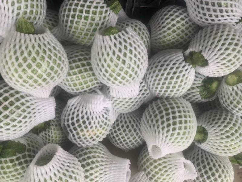 新鲜蔬菜——地兰