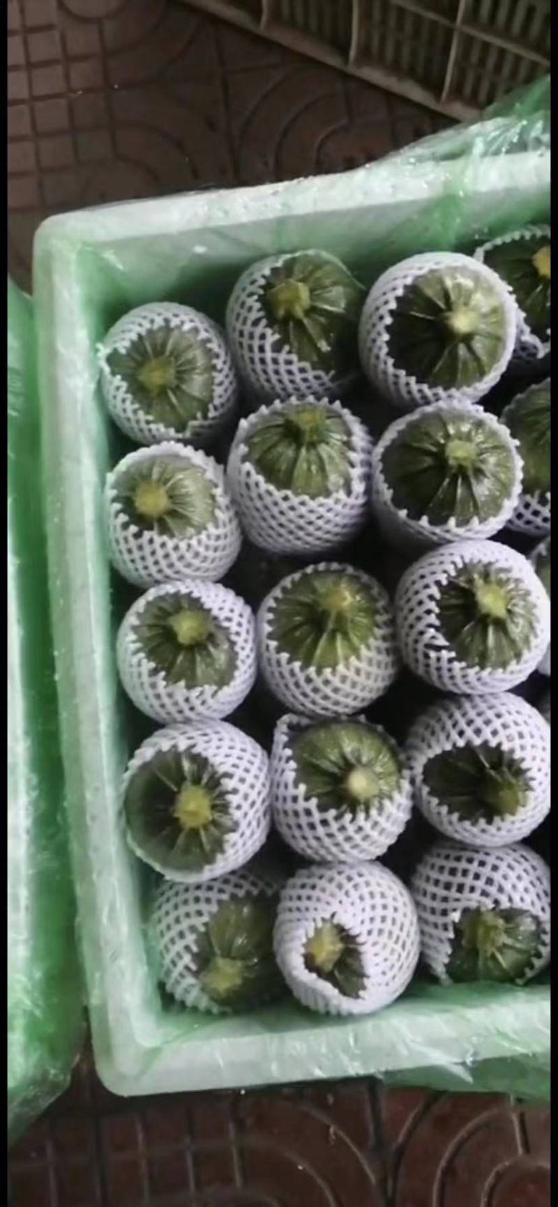 新鲜蔬菜——地兰