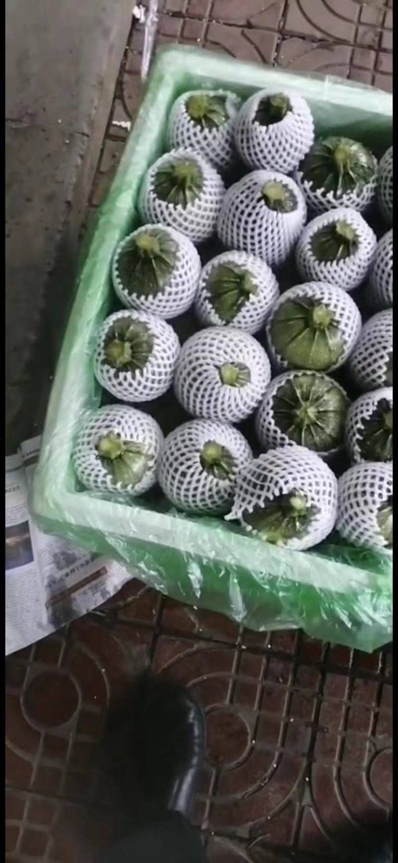 新鲜蔬菜——地兰