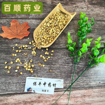 薏苡仁炒薏苡仁薏米五谷杂粮薏苡仁颗粒大货供应批发
