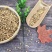 薏苡仁炒薏苡仁薏米五谷杂粮薏苡仁颗粒大货供应批发