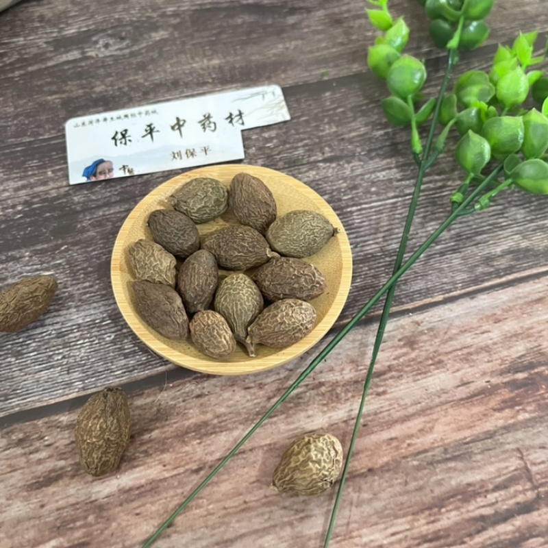 胖大海选货无破皮润喉泡水花茶无蛀虫无霉变
