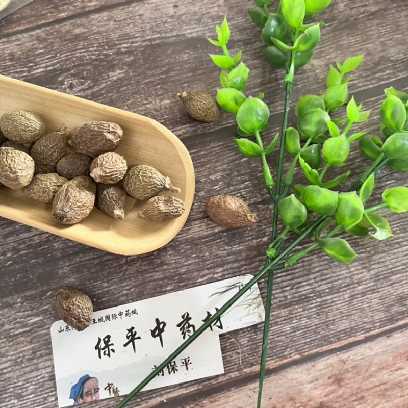 胖大海选货无破皮润喉泡水花茶无蛀虫无霉变