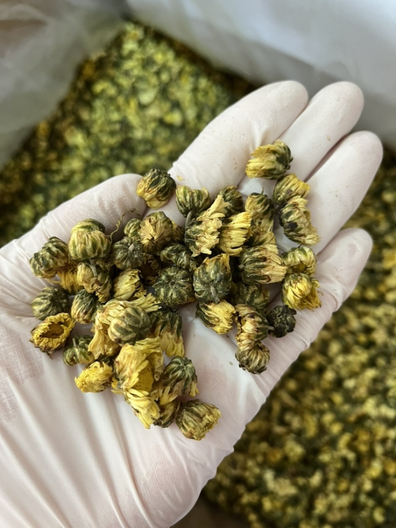 胖大海选货无破皮润喉泡水花茶无蛀虫无霉变