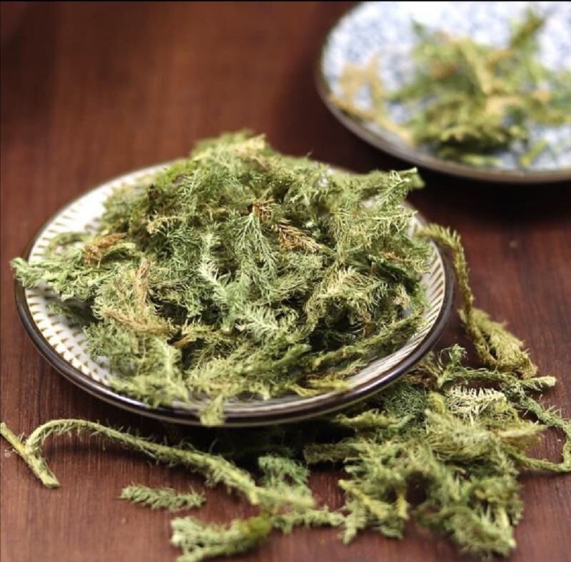 贵州大山野生伸筋草
