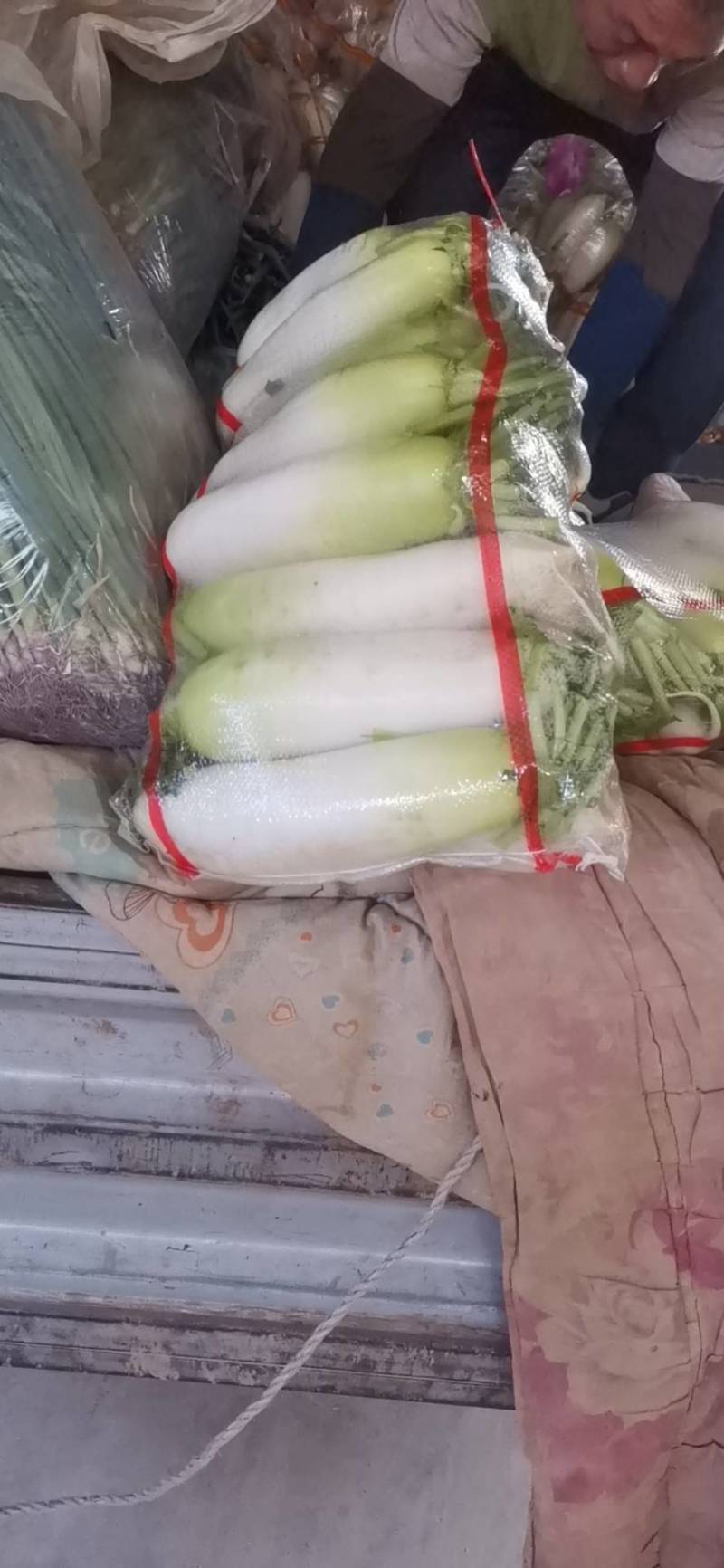 热销甘肃临洮水果萝卜大量现货一手货源量大从优