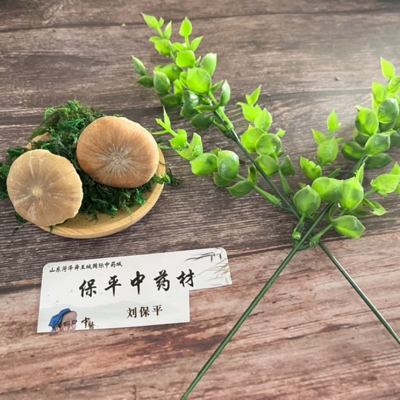 壮阳果风流果产地直销货好量大饱满度高颗粒均匀