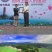 2024新货莲子芯江西广昌产地直供，无杂质，欢迎联系