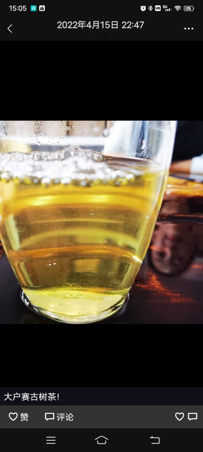 云南省临沧市凤庆古树茶