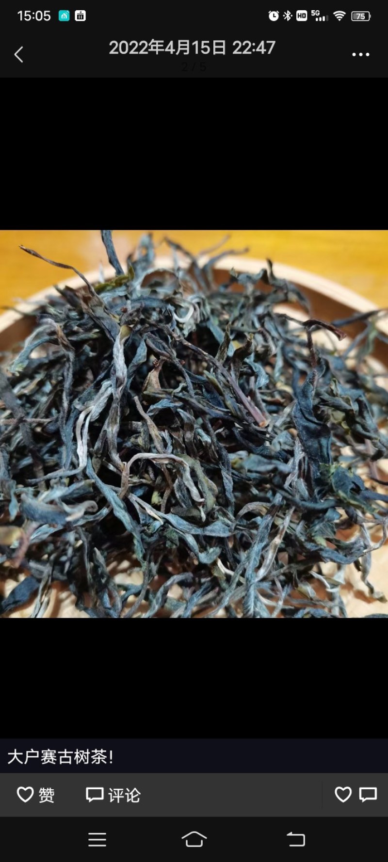 云南省临沧市凤庆古树茶