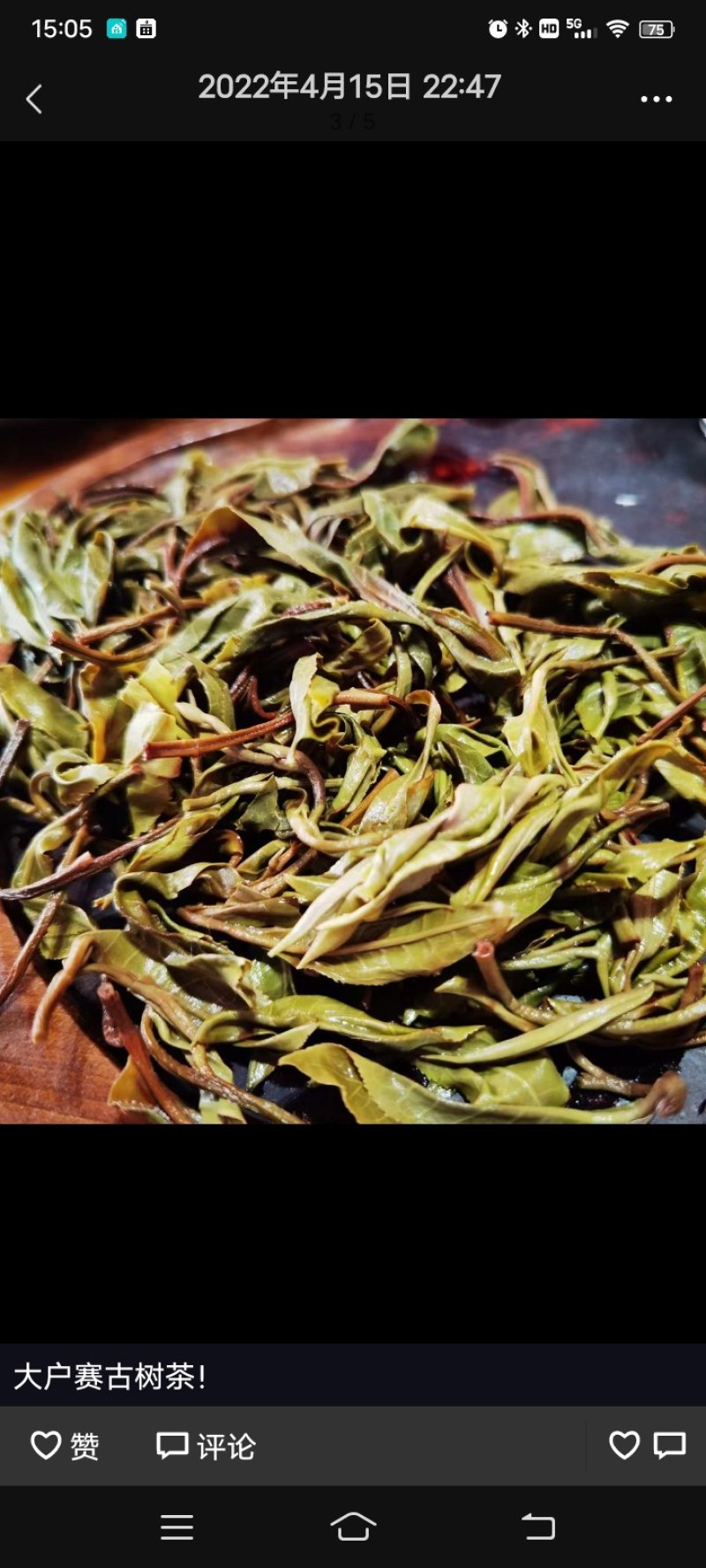 云南省临沧市凤庆古树茶