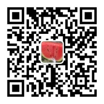 砀山西瓜基地，8424/美都甜王系列上市了