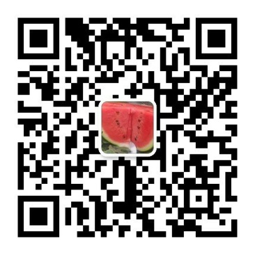 砀山西瓜基地，8424/美都甜王系列上市了