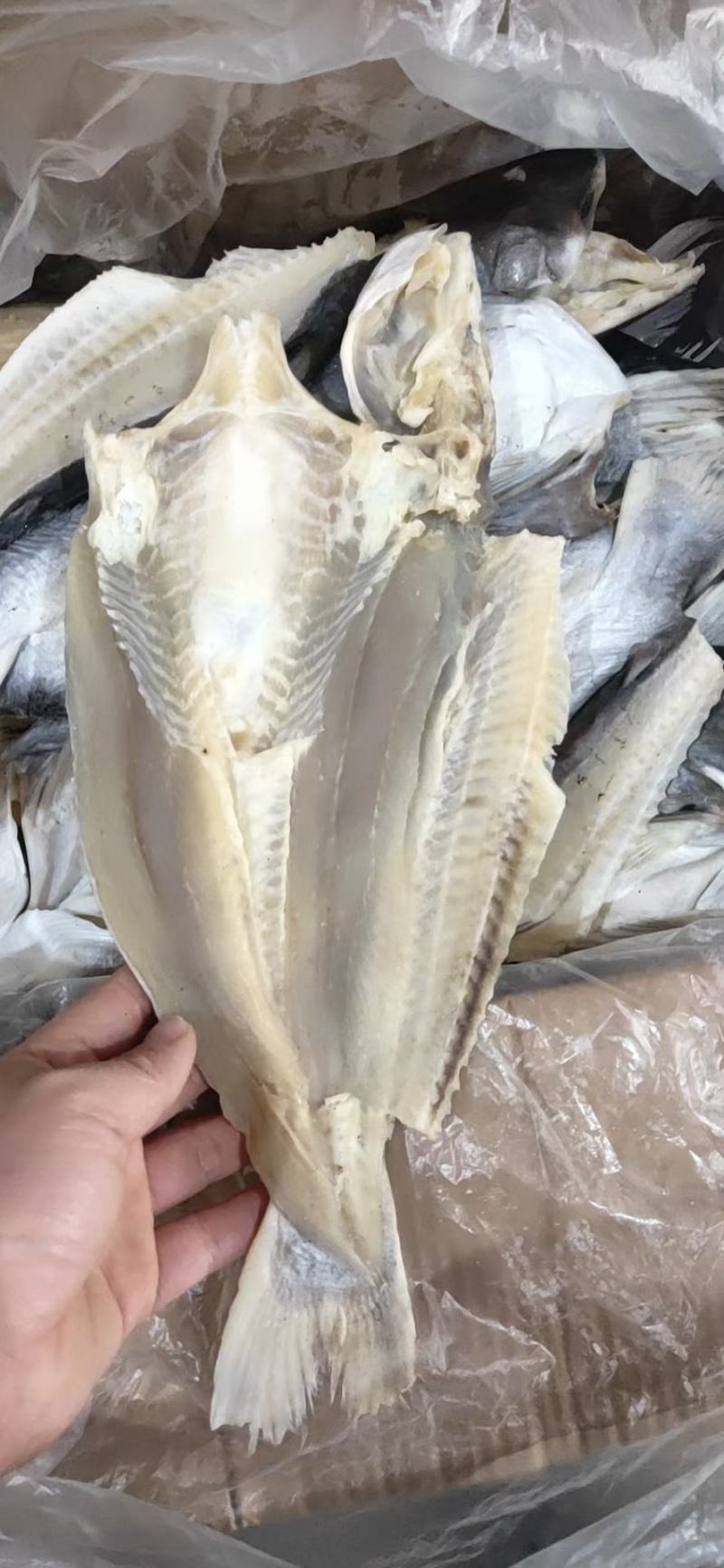 巴沙鱼干开背巴沙鱼干烤鱼巴沙鱼八成干