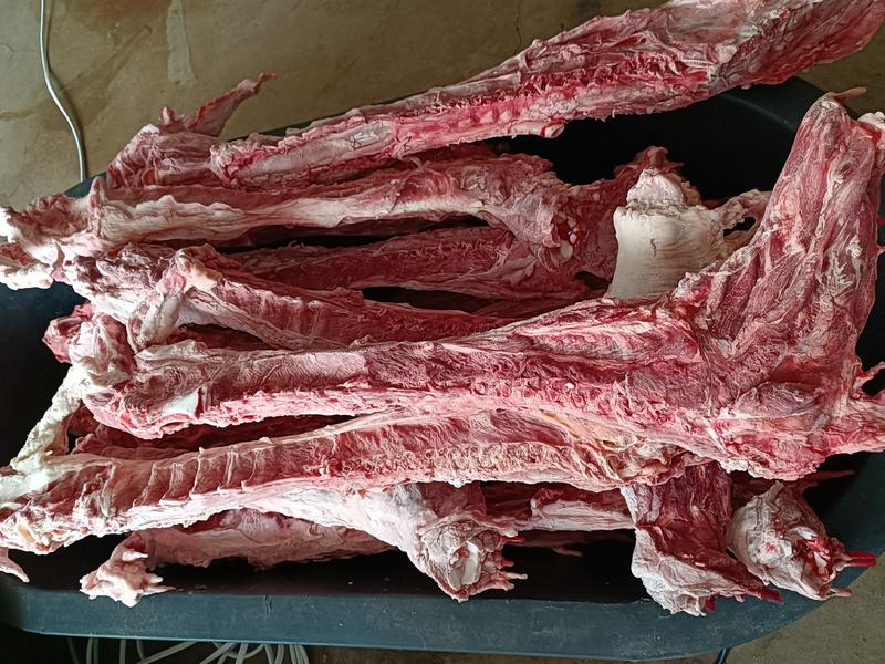多肉大羊脊骨多肉羊蝎子8一斤可锯断发样品