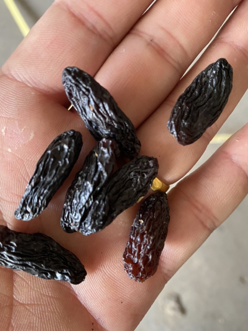 产自吐鲁番的黑美人葡萄干，自然晾干清水清洗