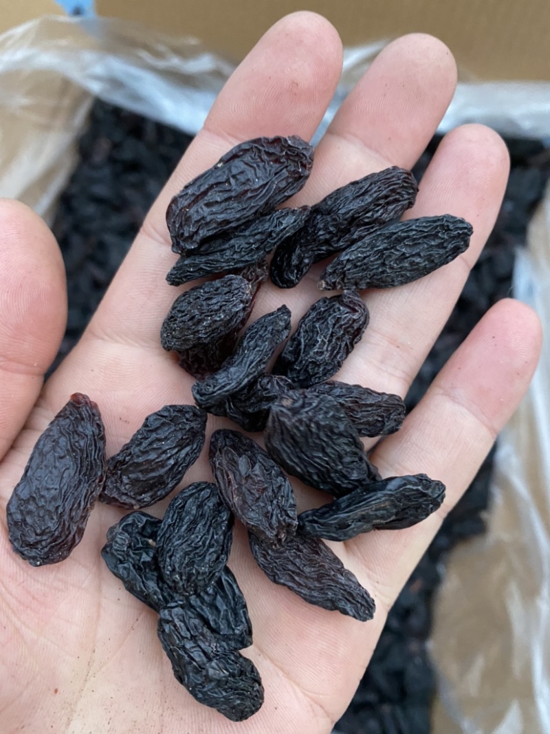 产自吐鲁番的黑美人葡萄干，自然晾干清水清洗