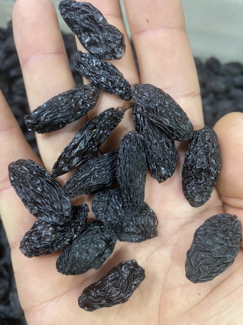 产自吐鲁番的黑美人葡萄干，自然晾干清水清洗