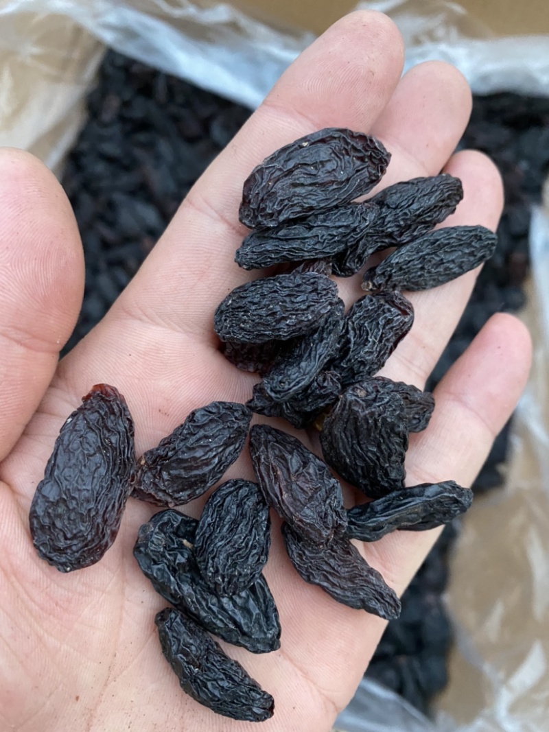 产自吐鲁番的黑美人葡萄干，自然晾干清水清洗