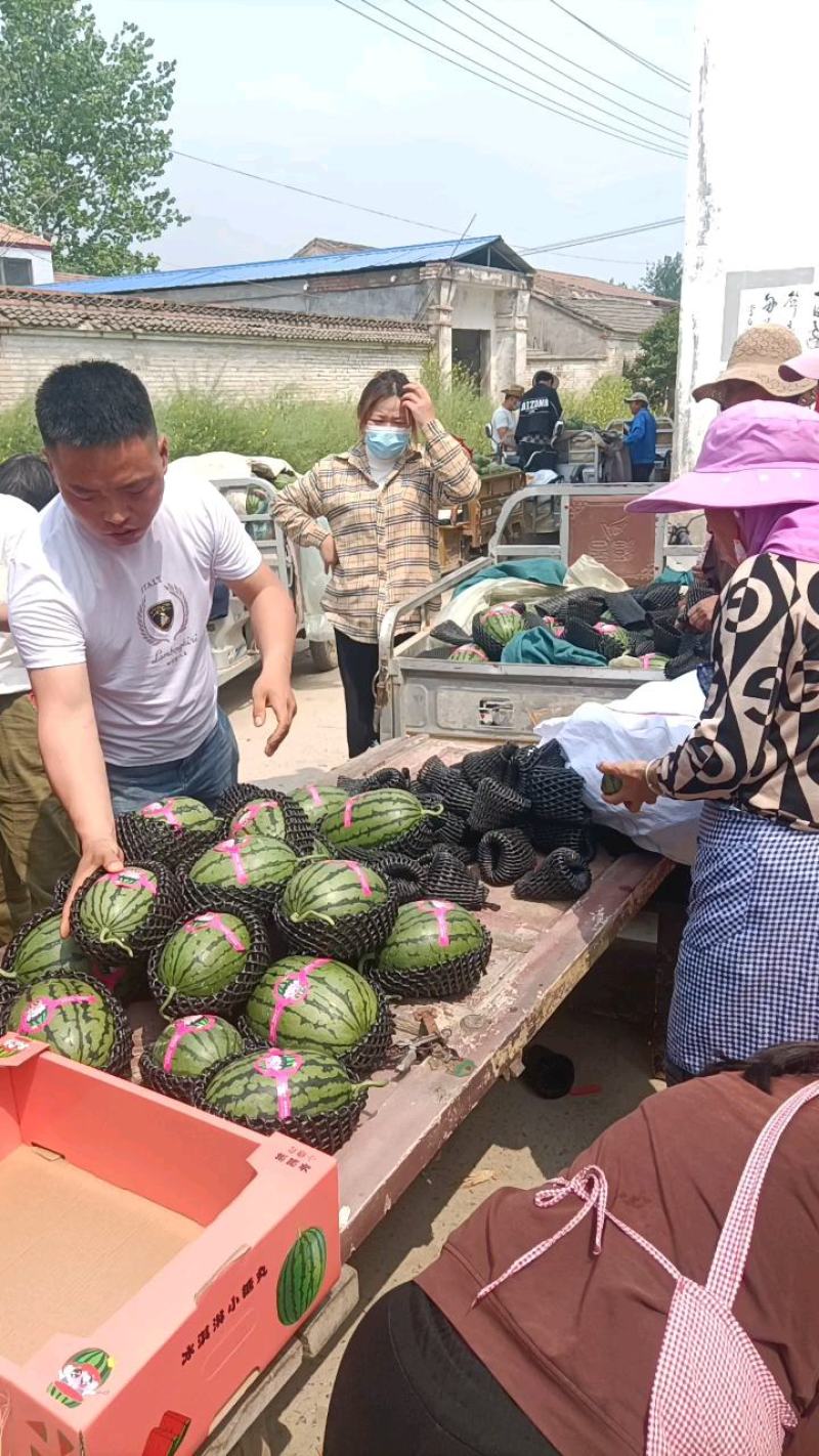 精品2K手剥西瓜大量上市手剥瓜小薄皮大红瓤代发全国