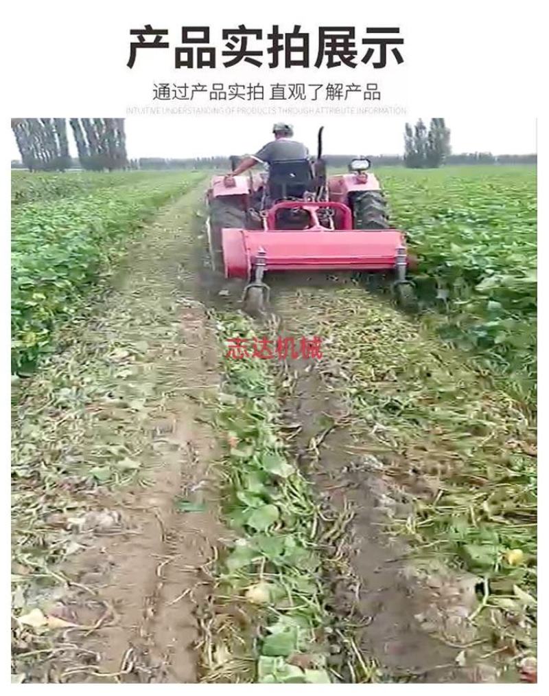 薯类杀秧机拖拉机配套地瓜马铃薯收获除秧机杂草粉碎机